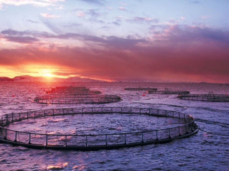 Cumplimiento de Normativa