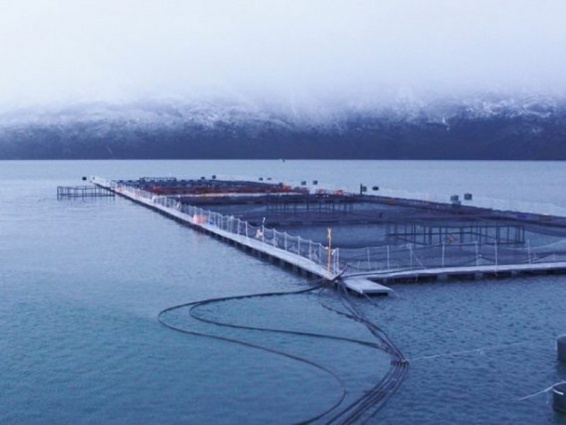 Cumplimiento de Normativa