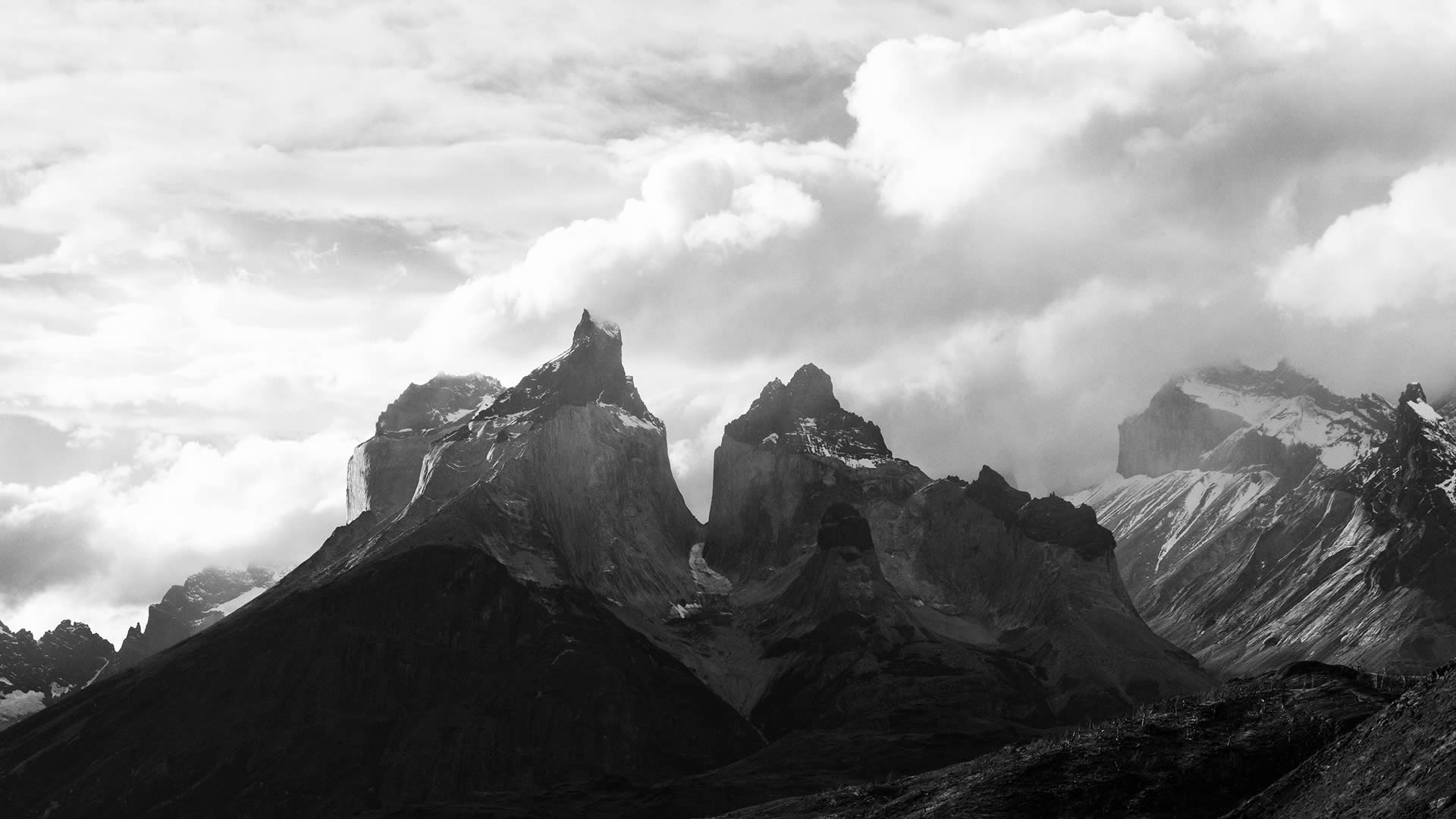 SELK - Servicios Ambientales