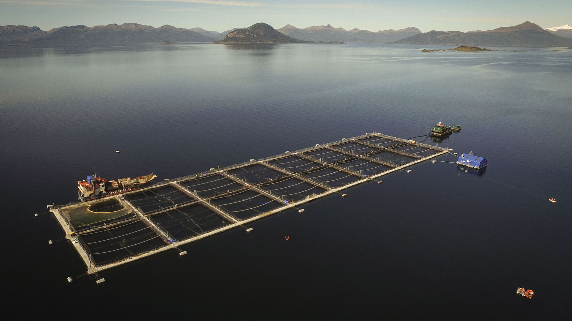 SELK - Servicios Ambientales